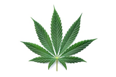 El cannabis está en el punto de mira de muchos especuladores. ¿Alguna oportunidad?